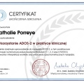 Powiększ obraz: certificate 3