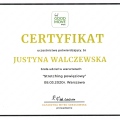 Powiększ obraz: certificate 10