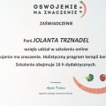 Powiększ obraz: certificate 1
