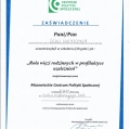Powiększ obraz: certificate 3