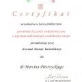 Powiększ obraz: certificate 97