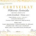 Powiększ obraz: certificate 2