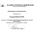 Powiększ obraz: certificate 9