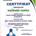 Powiększ obraz: certificate 3