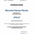 Powiększ obraz: certificate 3