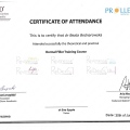 Powiększ obraz: certificate 5