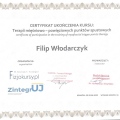 Powiększ obraz: certificate 3