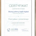 Powiększ obraz: certificate 4