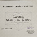 Powiększ obraz: certificate 2