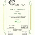 Powiększ obraz: certificate 1