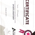 Powiększ obraz: certificate 6