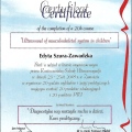 Powiększ obraz: certificate 4