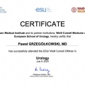Powiększ obraz: certificate 2