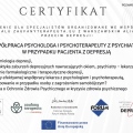 Powiększ obraz: certificate 3