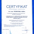 Powiększ obraz: certificate 19