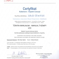 Powiększ obraz: certificate 15