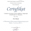Powiększ obraz: certificate 28