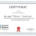 Powiększ obraz: certificate 10