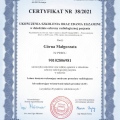 Powiększ obraz: certificate 1