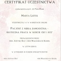 Powiększ obraz: certificate 2