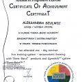 Powiększ obraz: certificate 2