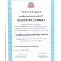 Powiększ obraz: certificate 2