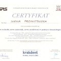 Powiększ obraz: certificate 8