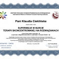 Powiększ obraz: certificate 4
