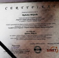 Powiększ obraz: certificate 5