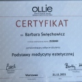 Powiększ obraz: certificate 3