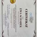 Powiększ obraz: certificate 3