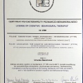 Powiększ obraz: certificate 1