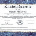 Powiększ obraz: certificate 13