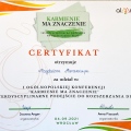 Powiększ obraz: certificate 4