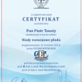 Powiększ obraz: certificate 2