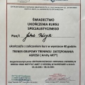 Powiększ obraz: certificate 2