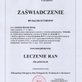 Powiększ obraz: certificate 11
