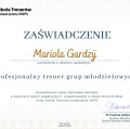 Powiększ obraz: certificate 1