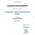 Powiększ obraz: certificate 24