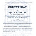 Powiększ obraz: certificate 10