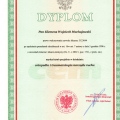 Powiększ obraz: certificate 1