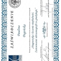 Powiększ obraz: certificate 2