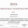 Powiększ obraz: certificate 3