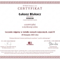 Powiększ obraz: certificate 385