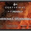 Powiększ obraz: certificate 2