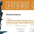 Powiększ obraz: certificate 2