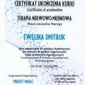 Powiększ obraz: certificate 7