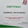Powiększ obraz: certificate 26
