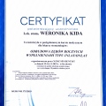 Powiększ obraz: certificate 3