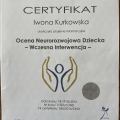Powiększ obraz: certificate 11